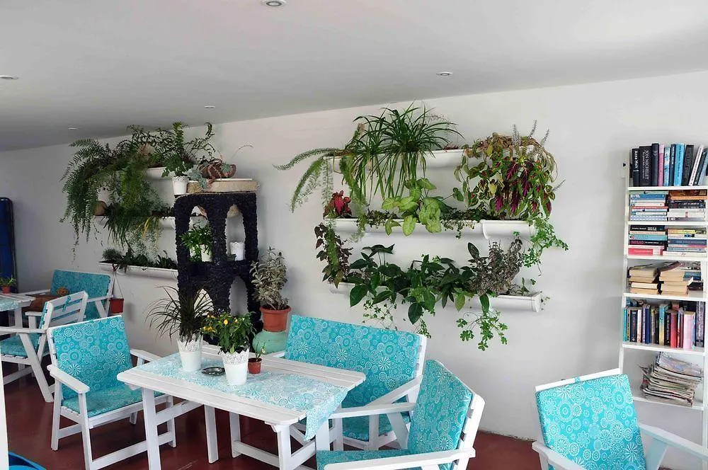 Apartamentos Gelimar بورتو ريكو 0*,